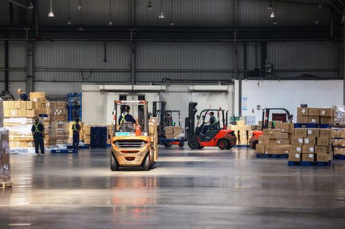 航空港實驗區 營造生態創新賦能，跨境進出口業務突破1億單