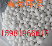 多元化進出口貿易業務 從金屬原料到農副產品的全球布局